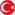 türgi